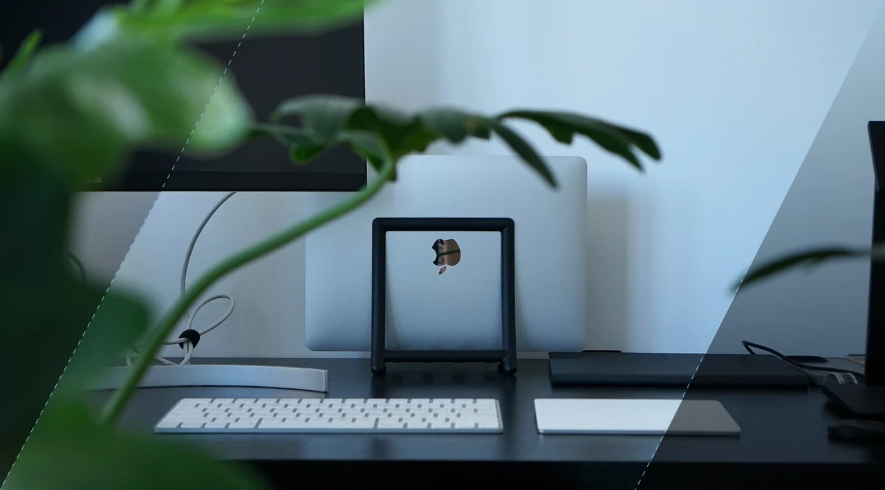 Team Lead and Manager